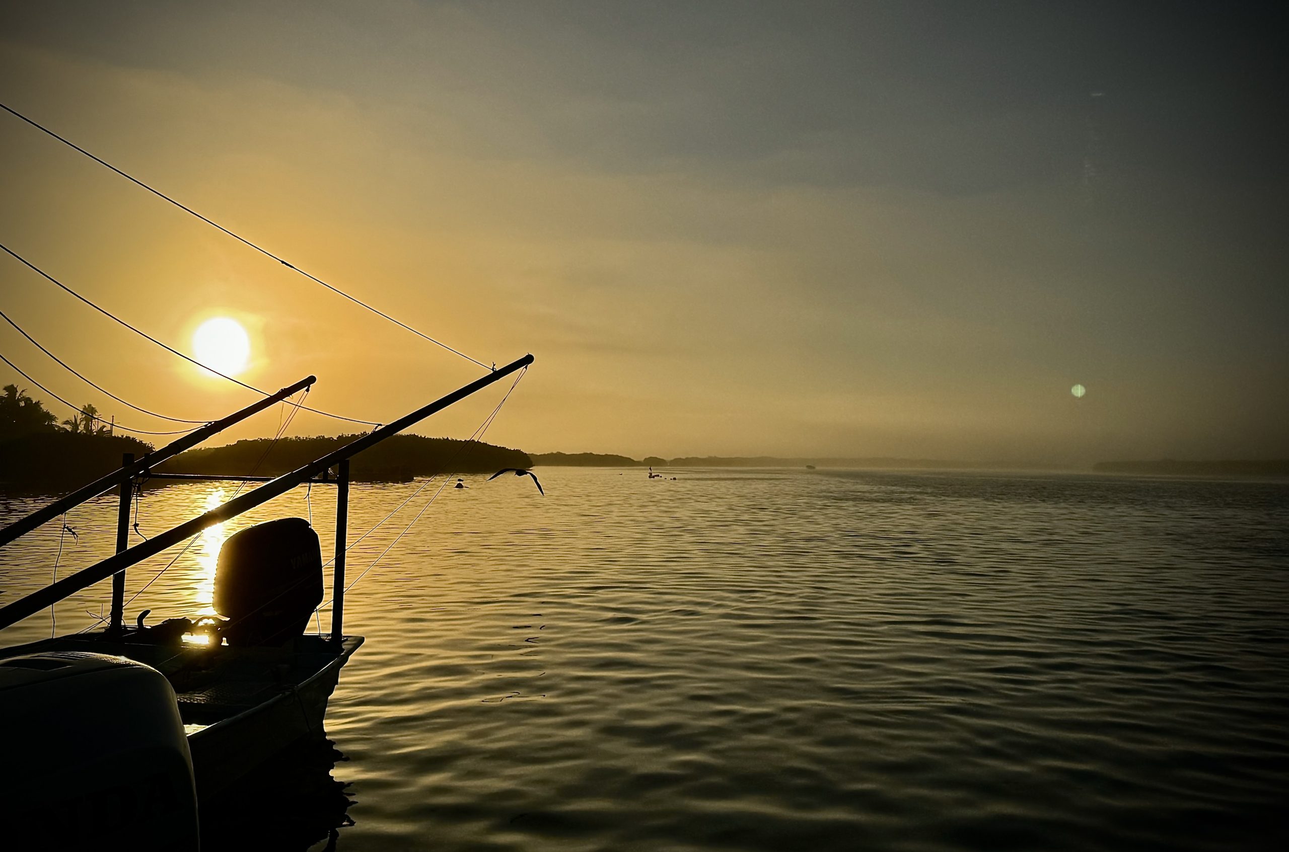 Featured image for “Southern Baja Fly Fishing Report – Roosters, DORADO, Tuna, and Magdalena Bay is heating up”