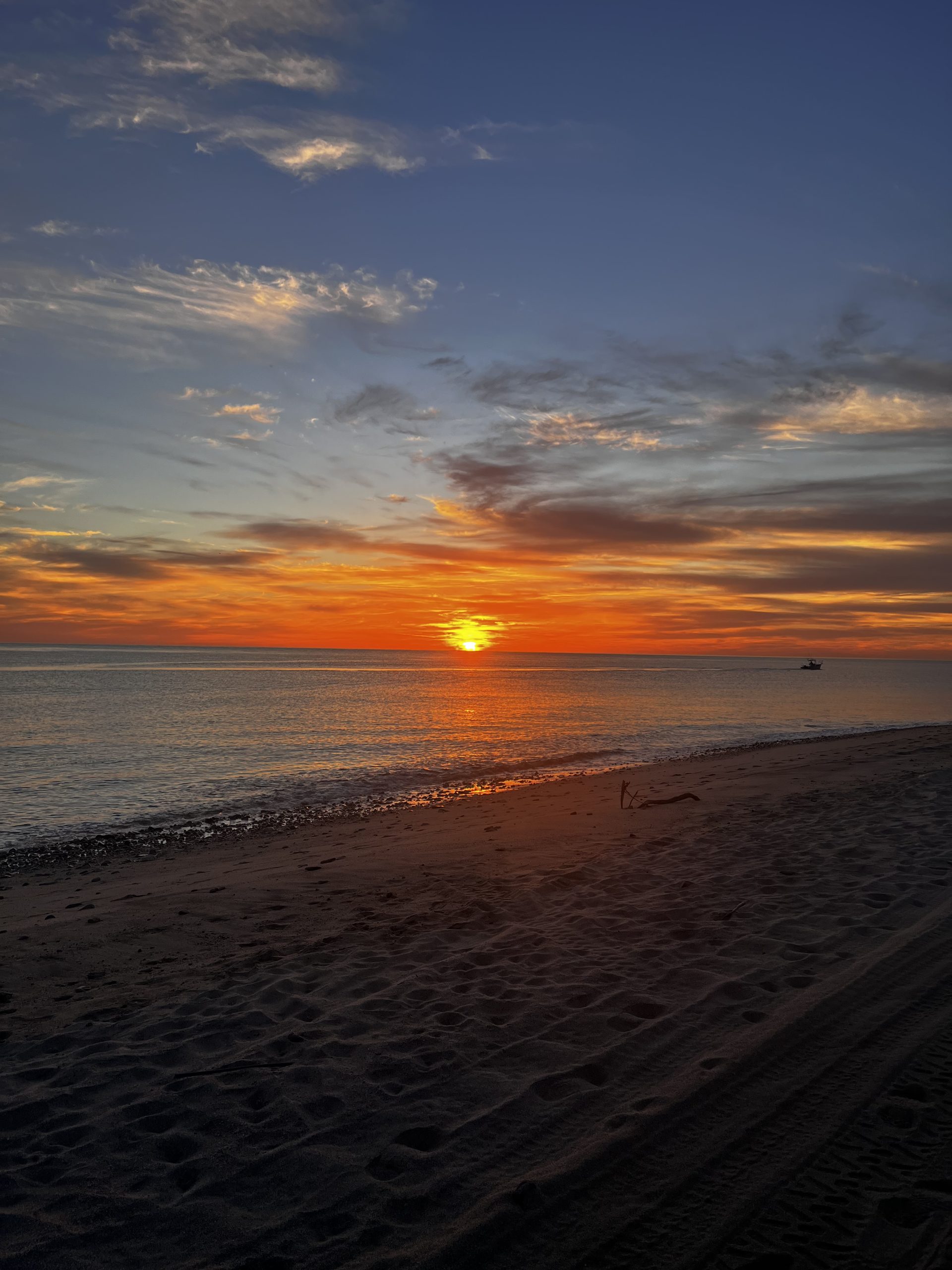 Featured image for “Baja Fishing Report – Tuna, Dorado, and Magdalena Bay Action – September 2025”