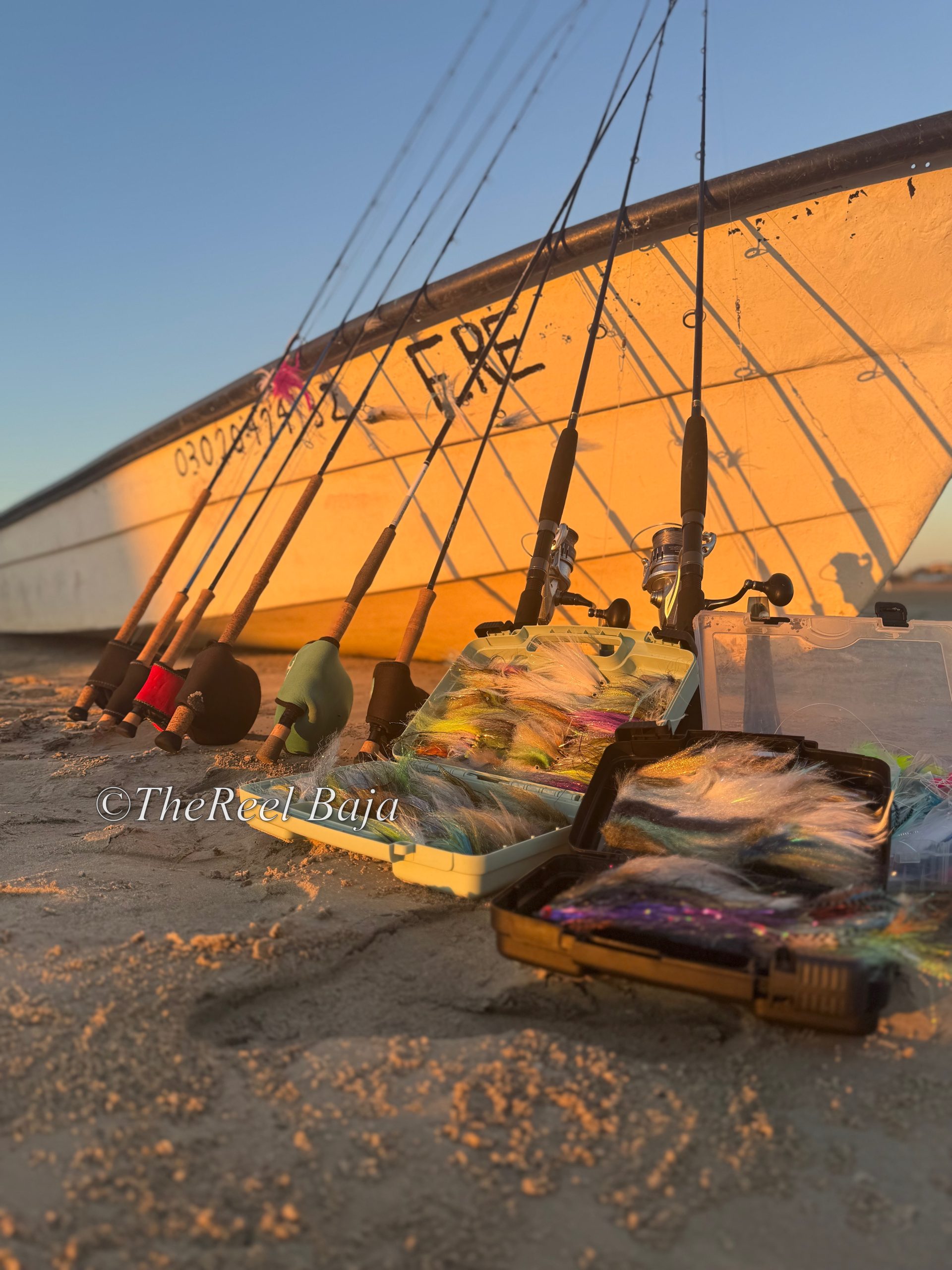 Featured image for “Magdalena Bay Report: Plenty of Marlin, Picky Bite”