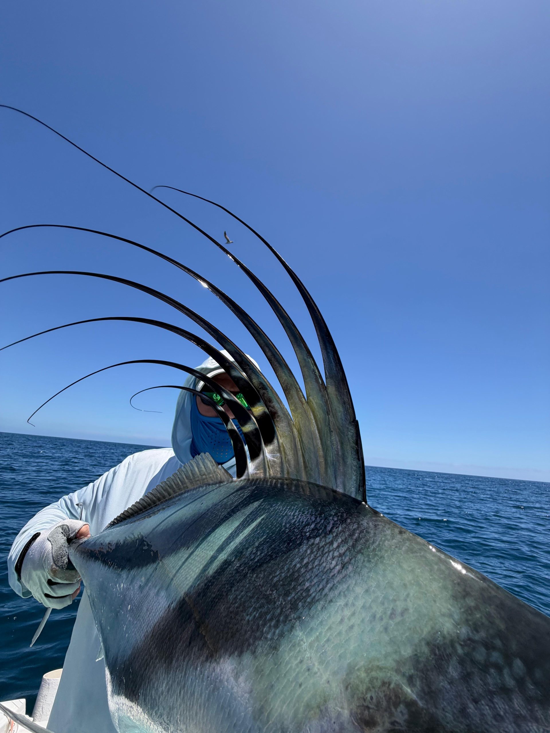 Featured image for “Baja Mexico Fishing Report (April 2026) – Roosterfish, Dorado & Tuna Action”