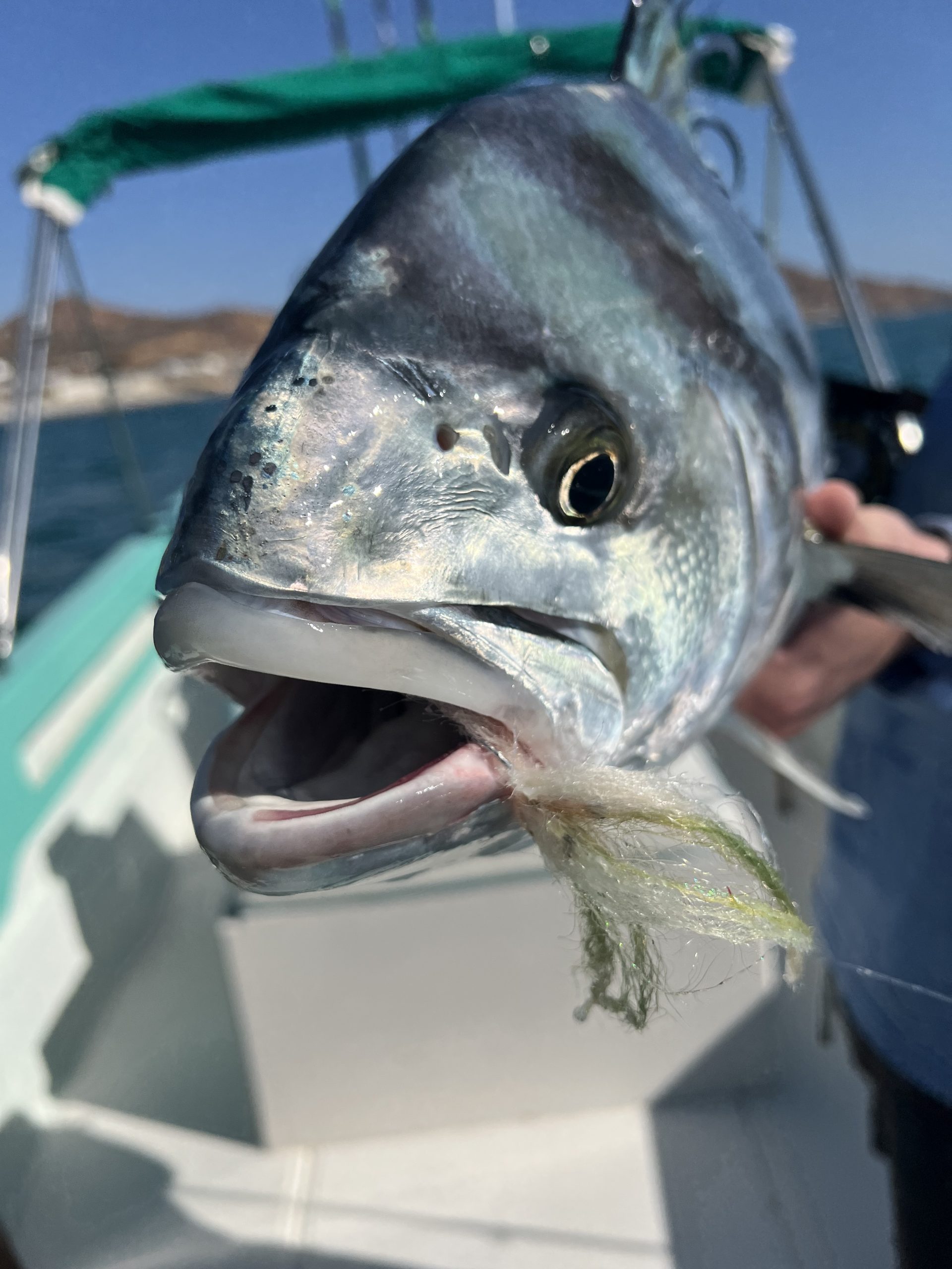 Featured image for “Baja Fishing Report – Easter Weekend 2026 | Roosterfish, Pompano, Tuna & Spring Conditions”