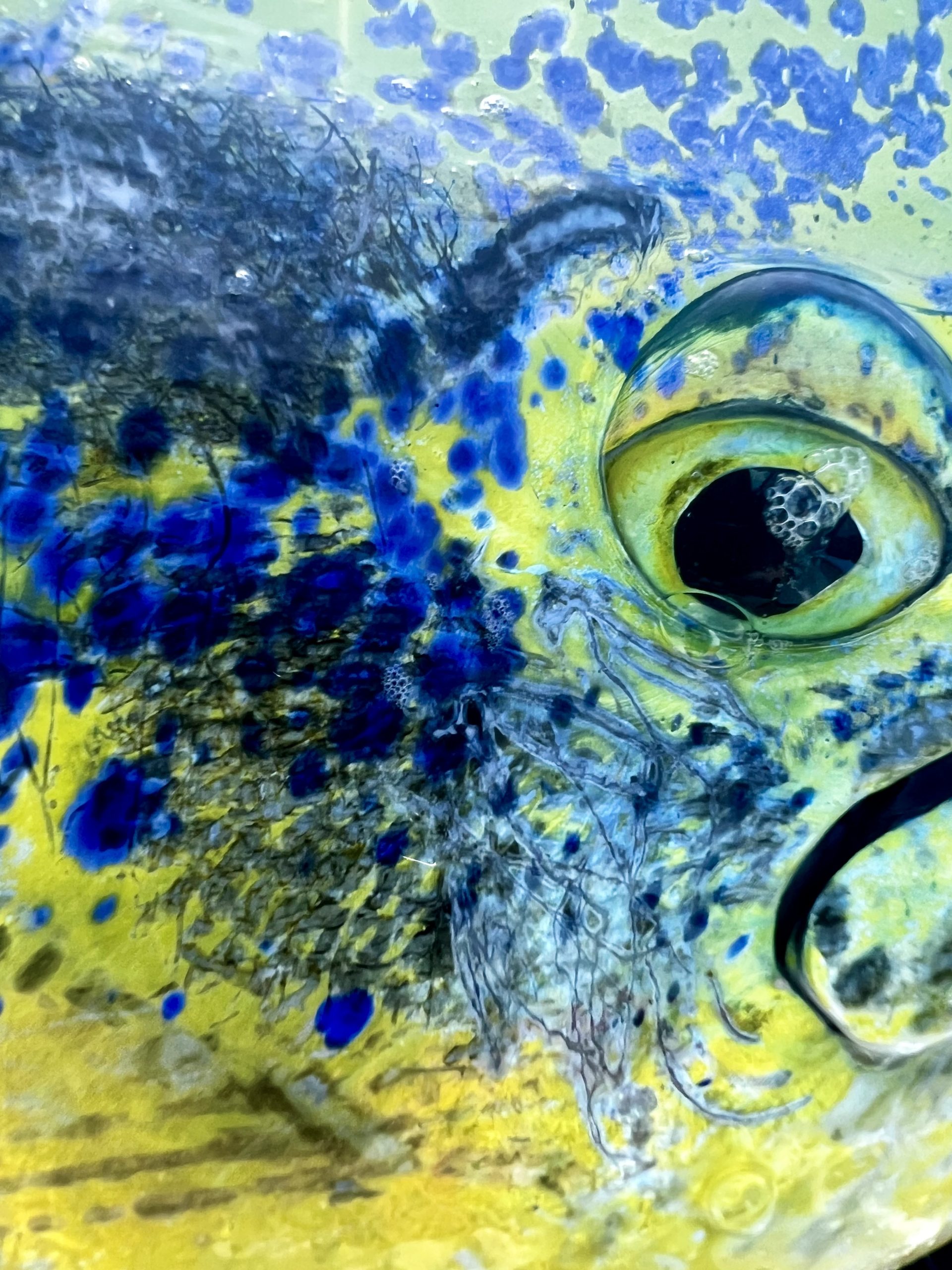 Featured image for “Southern Baja Fishing Report – Mid July | East Cape Roosterfish, Tuna, Marlin & Magdalena Bay Fly Fishing”