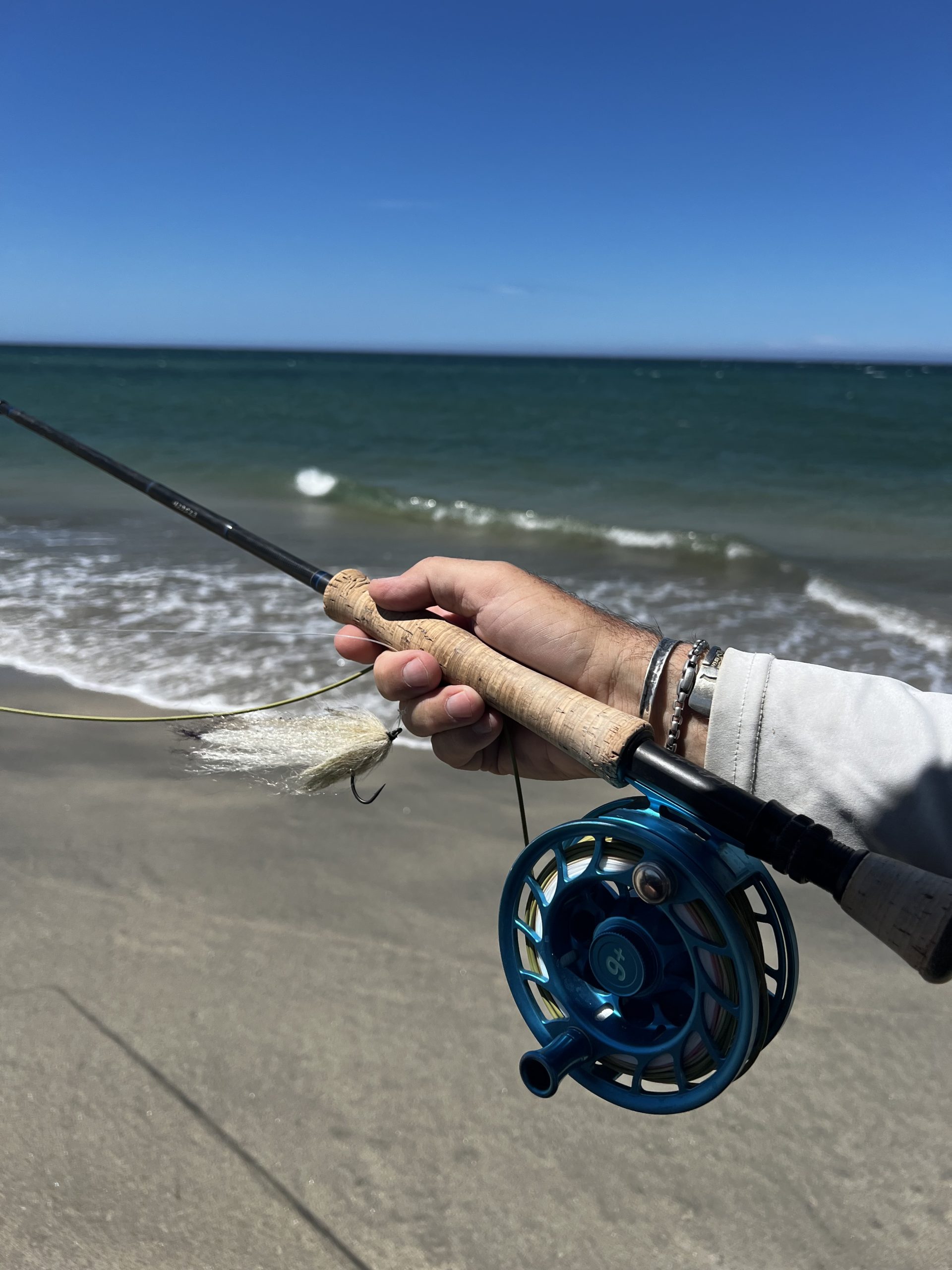 Featured image for “East Cape Baja Fishing Report: Tuna, Billfish & Roosterfish Update”